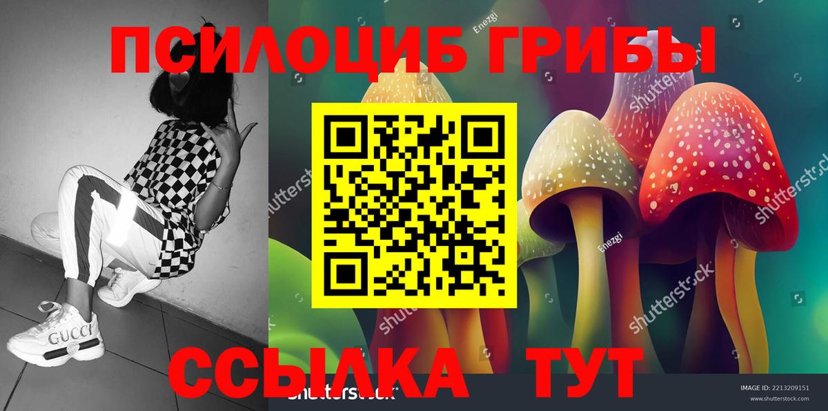 Великий Устюг  Галлюциногенные грибы ЛСД  Вход с VPN 